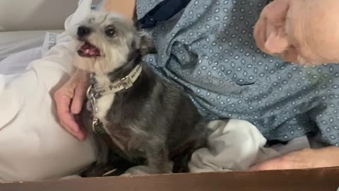 Hospitalized Man Reunited With His Dog
