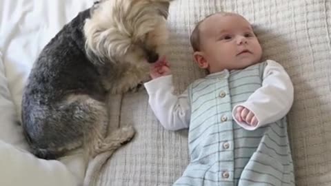 Adorable ,Cute baby and cute puppies