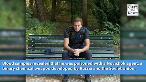Poisoned Russian politician Navalny released from German hospital after 32 days