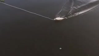 Huge Fish Steals Bait With Unbelievable Speed