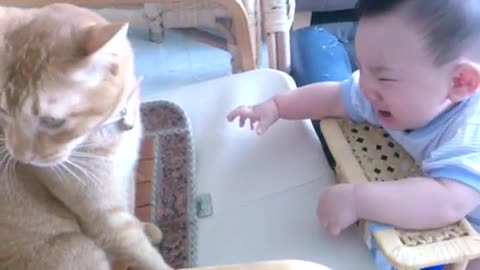 Cute Baby Cry When The Cat Starts To Leave.
