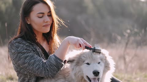 Young pretty girl helps dog with hair
