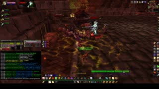 Turtle wow - Stratholme undead - paladin run