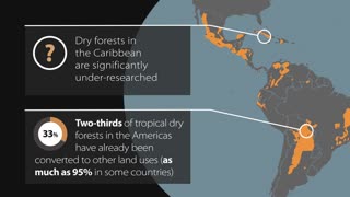 Tropical Dry Forests