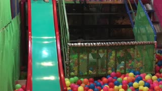 Doggy Having a Blast in the Ball Pit