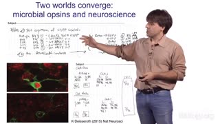 New Frontiers - Optogenetics | I-han Chou - World Economic Forum 2012