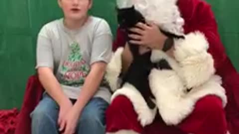 Papai Noel o surpreende menino com gatinho