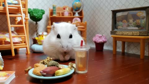 Happy hamster enjoys tasty after school snack