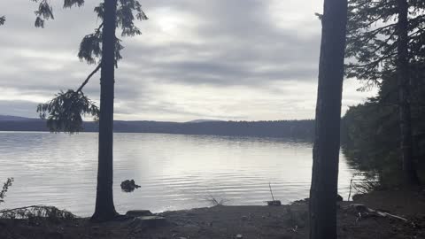 Exploring "The Cove" Shoreline Day Use Area – Timothy Lake – Mount Hood – Oregon – 4K