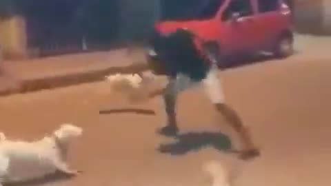 Men vs dog most thrilling fight ever 😱😱😂😂