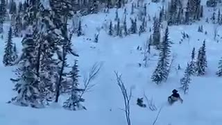 Tree Quickly Stops Guys Sliding Down a Mountain