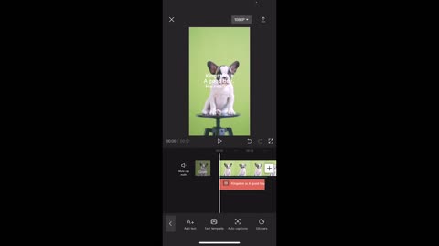 A.I. Voice Over And Text To Speech - CapCut
