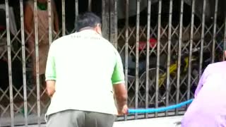 Monitor Lizard Stuck in Gate