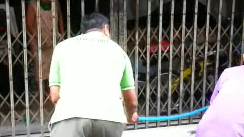 Monitor Lizard Stuck in Gate