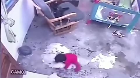Cat saves baby from falling down the stairs