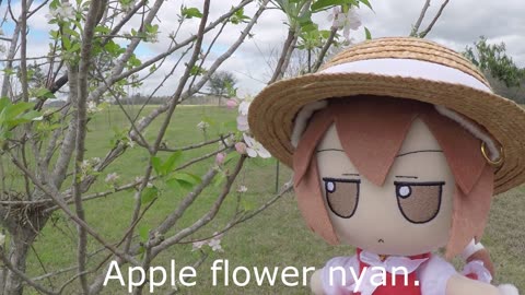 Apple flower fumo
