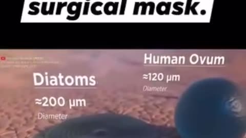 Things that fit thru a surgical mask - Sars Covid ‘virus’