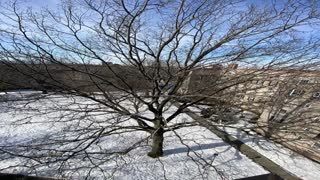 Boulevard Gardens CooP Complex Woodside NYC New York 11377 Roof Top View Video Slide Show (01-2021)