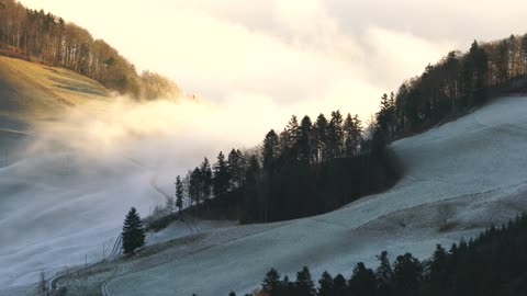 Fog over the mountains