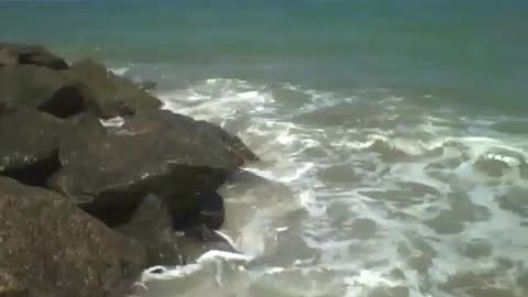 O mar acerta as pedras na beira da praia com força, belíssimas ondas! [Nature & Animals]