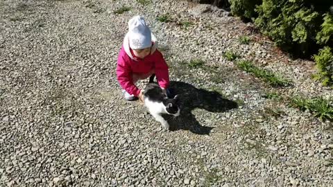 Two-Year-Old Demonstrates How NOT TO Carry a Cat!