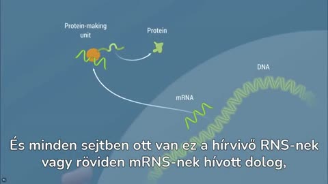 Rewriting the Genetic Code A genetikai kód átírása