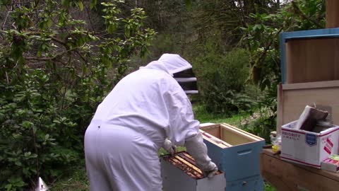 Parkinson's and Beekeeping