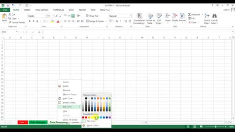 How to rename sheet and color it in Ms Excel