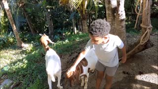 Raising Goats on Our Farm Vlog