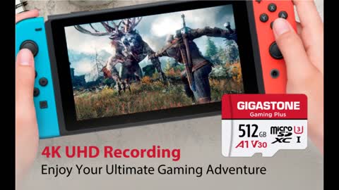 Review: [Gigastone] 256GB Micro SD Card, Gaming Plus, MicroSDXC Memory Card for Nintendo-Switch...