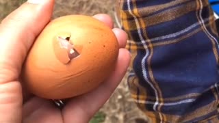 Egg Hatches Mom's Finger Instead of Chick