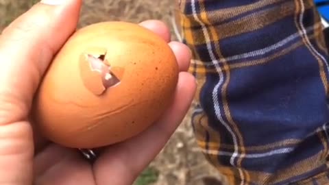 Egg Hatches Mom's Finger Instead of Chick