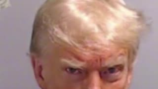 Trumps Mugshot