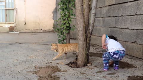 Baby and Cat Fun and Cute