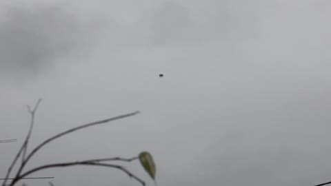 Odd Flying Object Spotted Over Bremerton, USA