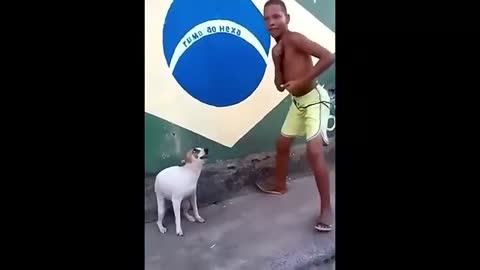 Perrito bailando con un niño