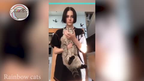 cats in tiktok compilation #01