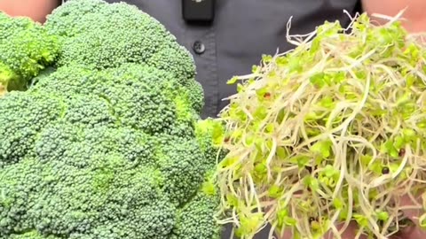 💪 Unlock Nature's Secret Weapon Against Cancer: Meet Sulforaphane!