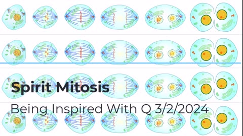 Spirit Mitosis 3/2/2024