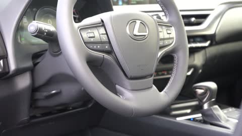 2022 Lexus UX 250h Review.40+ MPG's!