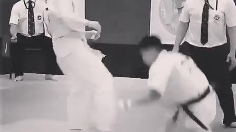 Kyokushin karate knockouts