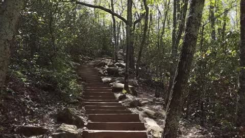 George Hiking and Climbing at Crowders Mountain