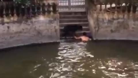 The dog ran to the lake to save the man who pretended to drown
