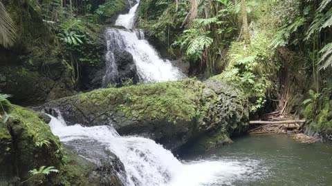 Forest Waterfall Tropical.