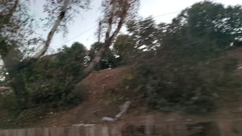 Los Angeles highway turned garbage dump