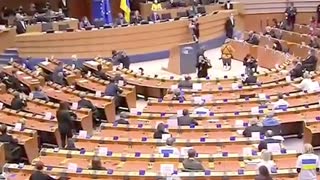 Translator chokes up during Zelensky's speech at EU Parliament