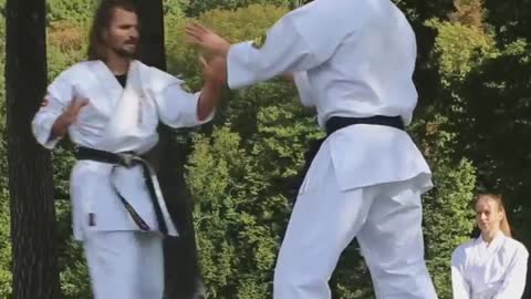 Comparison of kung fu vs karate