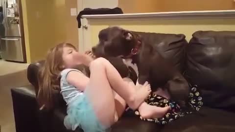 Pit Bull comparte sesión de besos cosquilludos con una pequeña