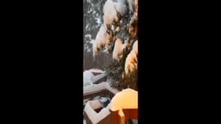 January 2021 Idyllwild snow storm at cabin