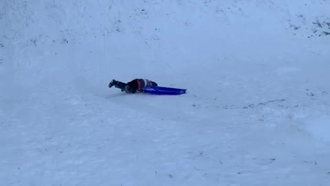 Sledders Taking a Spill